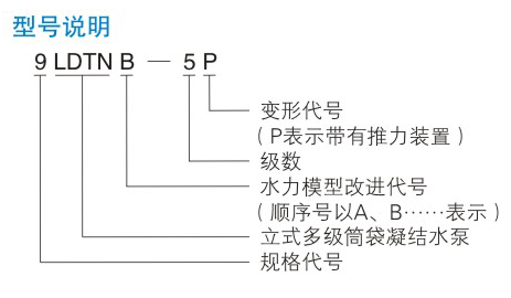 LDTN型凝結水泵型（xíng）號說明