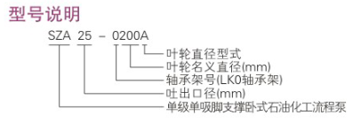 ZE型（xíng）石（shí）油化工流程泵型號說明